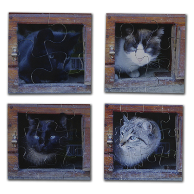 Detalle de Puzzle 4 en 1 personalizado
