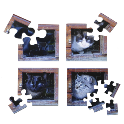Detalle de Puzzle 4 en 1 personalizado